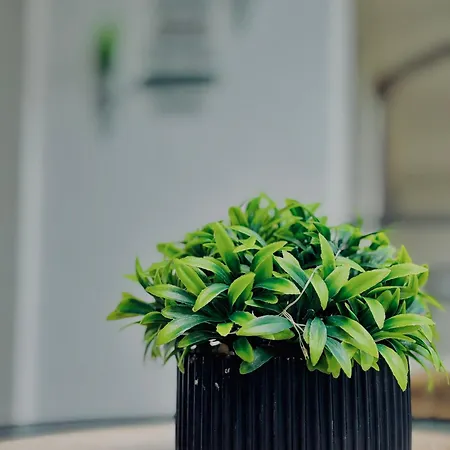 Apartment Dreams Apart&free Parking Sozopol