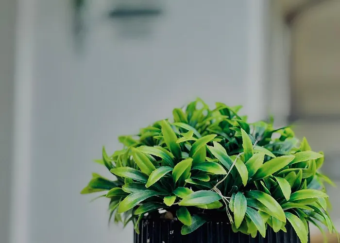 アパート Dreams Apart&free Parking ソゾポル